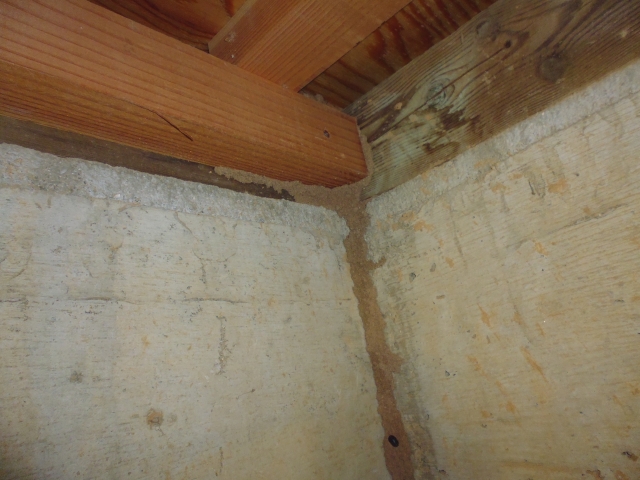 シロアリの駆除工事は確定申告の「雑損控除」でお得になる！？