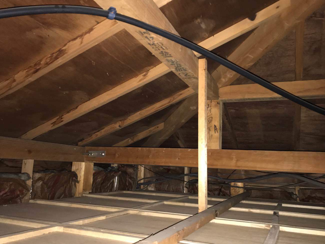 屋根裏点検で「隠れ雨漏り」を発見！要注意症状と4つの被害例